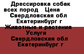 Дрессировка собак всех пород › Цена ­ 500 - Свердловская обл., Екатеринбург г. Животные и растения » Услуги   . Свердловская обл.,Екатеринбург г.